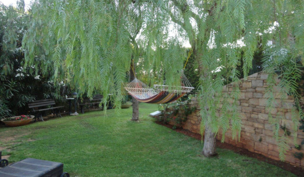 Κήπος - Garden